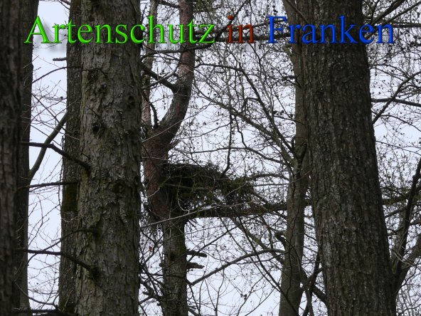 Copyright AiS Brückner Bild zum Eintrag (45609-160)