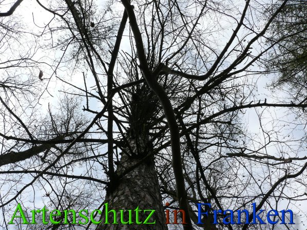 Bild zum Eintrag (45611-160)