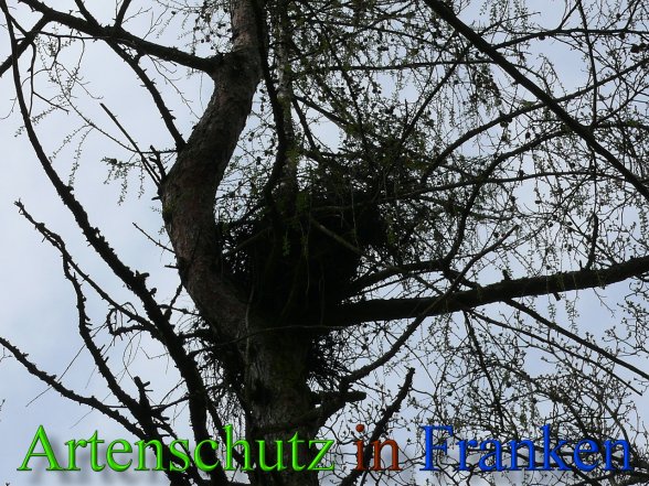 Copyright AiS Brückner Bild zum Eintrag (45612-160)
