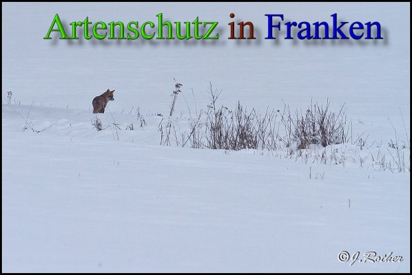 Copyright AiS-Johannes Rother Bild zum Eintrag (45672-160)