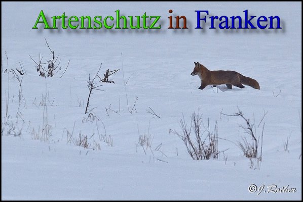 Copyright AiS-Johannes Rother Bild zum Eintrag (45673-160)