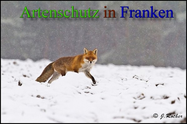 Copyright AiS-Johannes Rother Bild zum Eintrag (45674-160)