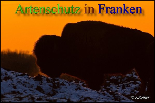 Copyright AiS-Johannes Rother Bild zum Eintrag (45683-160)