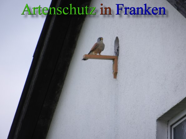 Copyright AiS - Mitterhuber Bild zum Eintrag (45685-160)
