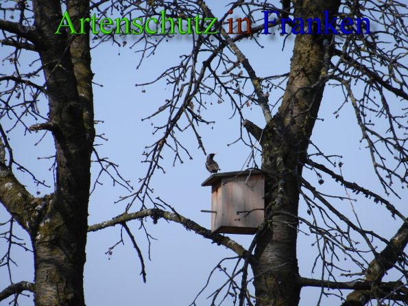 Copyright AiS - Mitterhuber Bild zum Eintrag (45687-160)