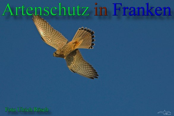 Copyright AiS- Ulrich Rösch Bild zum Eintrag (46180-160)
