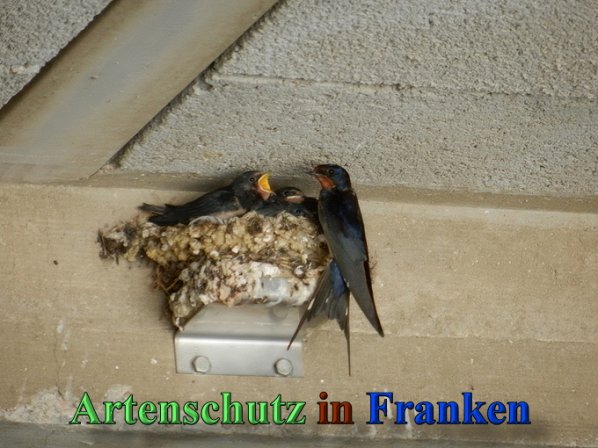 Copyright AiS - Mitterhuber Bild zum Eintrag (47168-160)