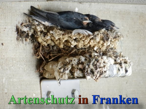 Copyright AiS - Mitterhuber Bild zum Eintrag (47169-160)
