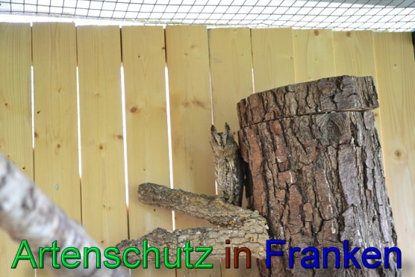 Copyright AiS Martin Wirsching Bild zum Eintrag (47412-160)