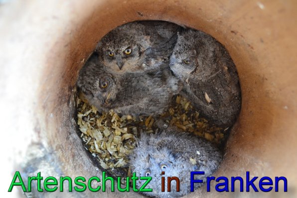 Copyright AiS Martin Wirsching Bild zum Eintrag (47413-160)