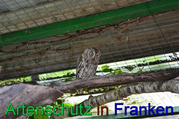 Copyright AiS Martin Wirsching Bild zum Eintrag (47414-160)
