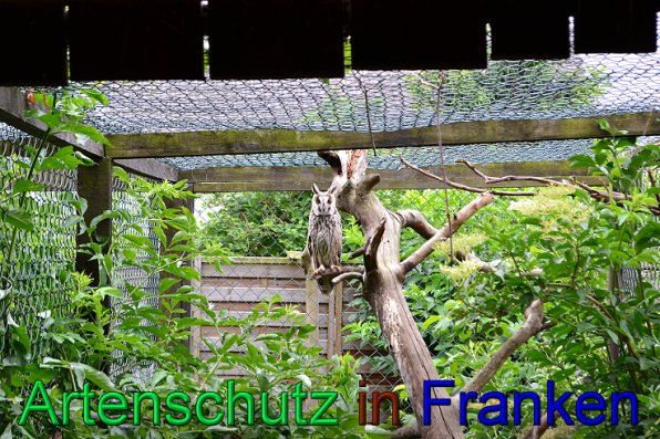 Copyright AiS Martin Wirsching Bild zum Eintrag (47415-160)