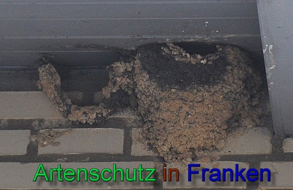 Copyright AiS Rolf Thiemann Bild zum Eintrag (47439-160)
