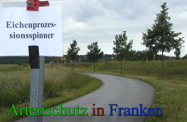 Copyright AiS- Albert Meier Bild zum Eintrag (47571-160)