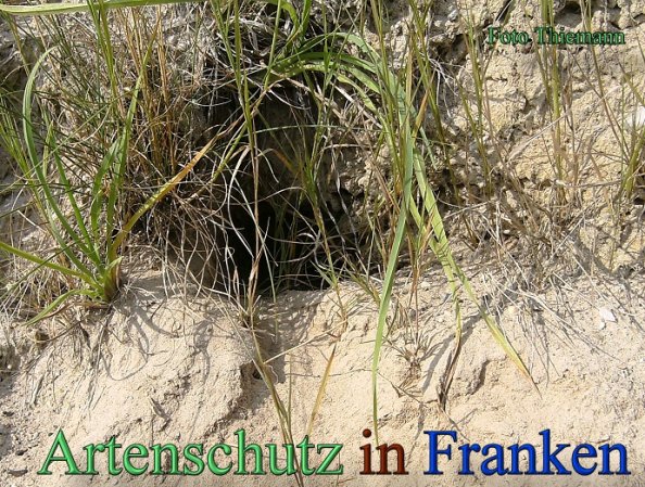 Bild zum Eintrag (47854-160)