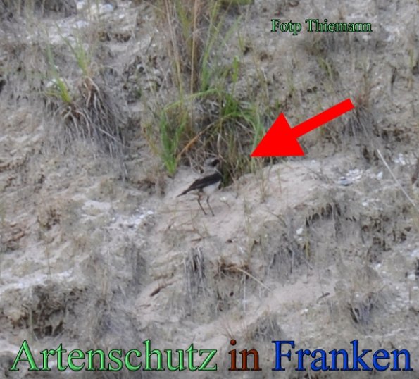 Copyright AiS Rolf Thiemann Bild zum Eintrag (47857-160)