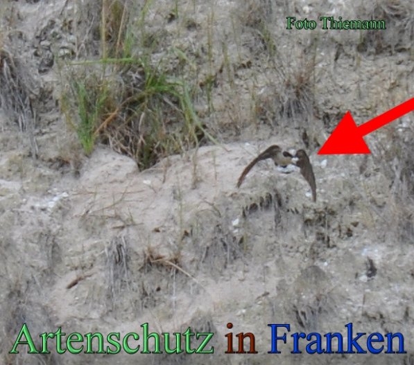 Copyright AiS Rolf Thiemann Bild zum Eintrag (47861-160)