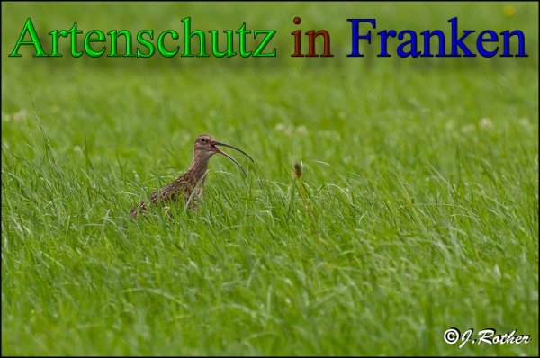 Copyright AiS-Johannes Rother Bild zum Eintrag (47917-160)