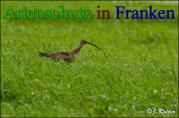 Copyright AiS-Johannes Rother Bild zum Eintrag (47918-160)