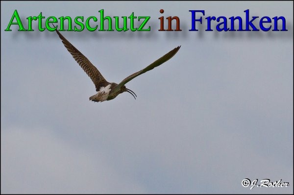 Copyright AiS-Johannes Rother Bild zum Eintrag (47920-160)