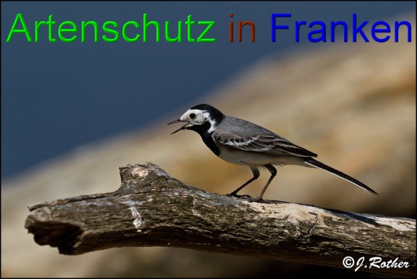 Copyright AiS-Johannes Rother Bild zum Eintrag (47924-160)