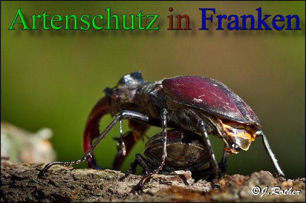 Copyright AiS-Johannes Rother Bild zum Eintrag (47956-160)