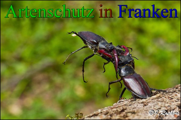 Copyright AiS-Johannes Rother Bild zum Eintrag (47960-160)