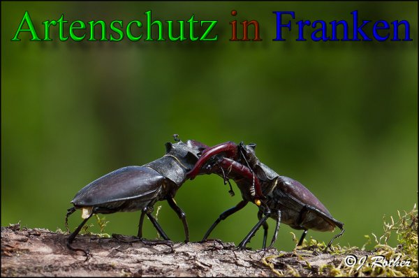 Copyright AiS-Johannes Rother Bild zum Eintrag (47965-160)