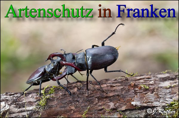 Copyright AiS-Johannes Rother Bild zum Eintrag (47970-160)
