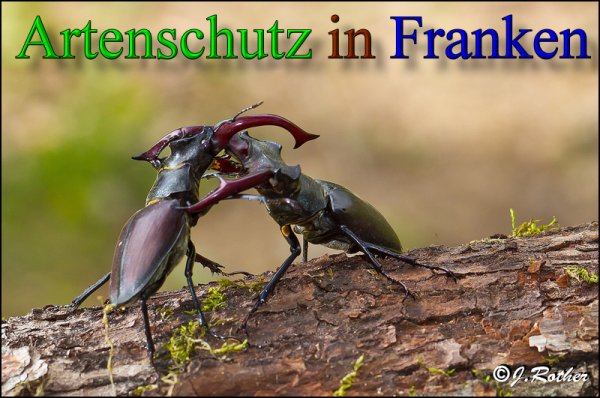 Copyright AiS-Johannes Rother Bild zum Eintrag (47971-160)