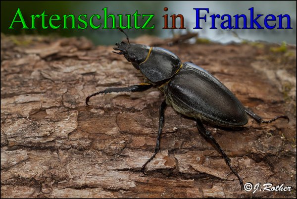 Copyright AiS-Johannes Rother Bild zum Eintrag (47973-160)