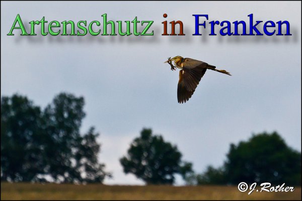 Copyright AiS-Johannes Rother Bild zum Eintrag (48199-160)
