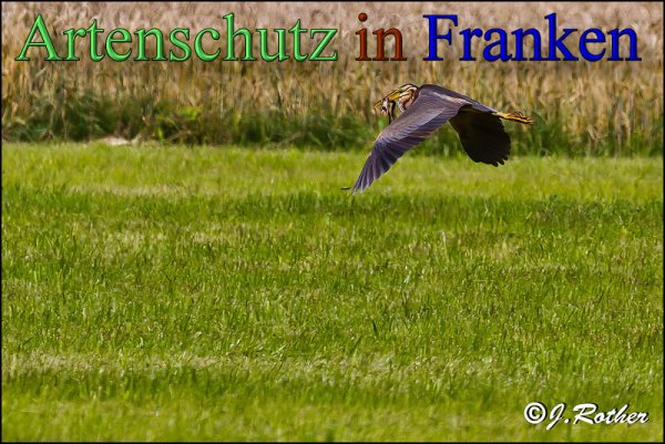 Copyright AiS-Johannes Rother Bild zum Eintrag (48200-160)