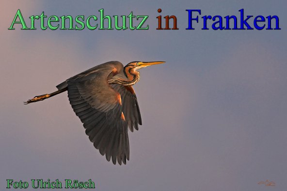 Bild zum Eintrag (48241-160)