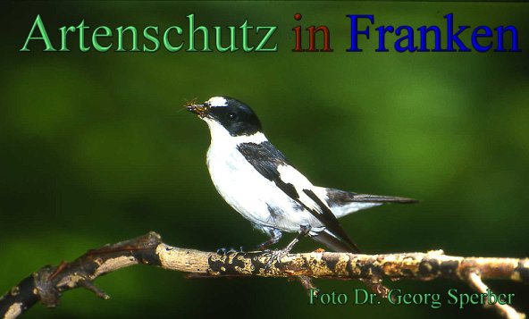 Copyright AiS Dr. Georg Sperber Bild zum Eintrag (48275-160)