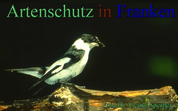 Copyright AiS Dr. Georg Sperber Bild zum Eintrag (48276-160)
