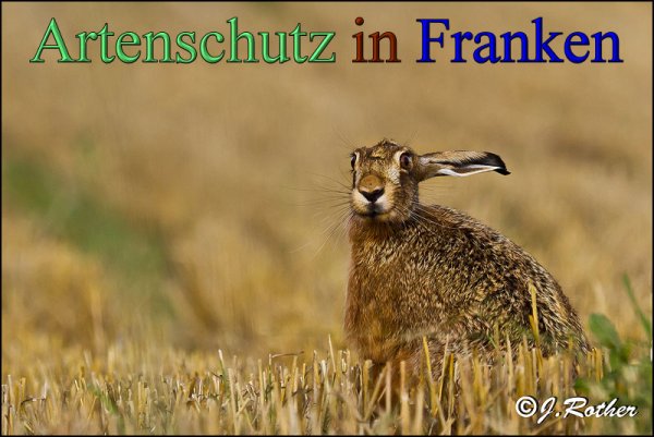 Copyright AiS-Johannes Rother Bild zum Eintrag (48323-160)