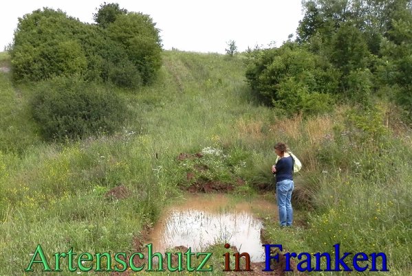 Copyright AiS- Albert Meier Bild zum Eintrag (48333-160)