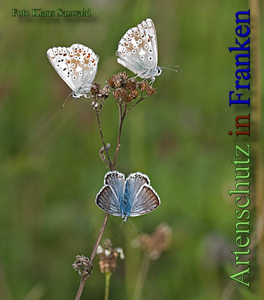 Bild zum Eintrag (48752-160)