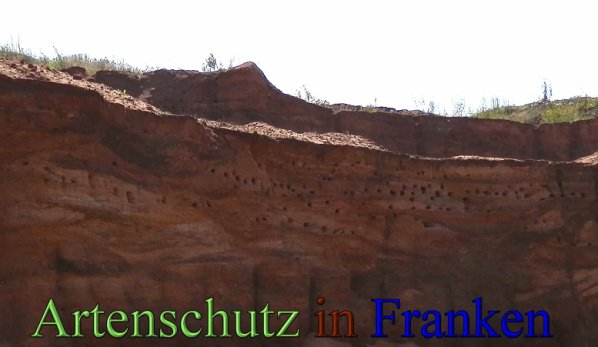 Bild zum Eintrag (48938-160)