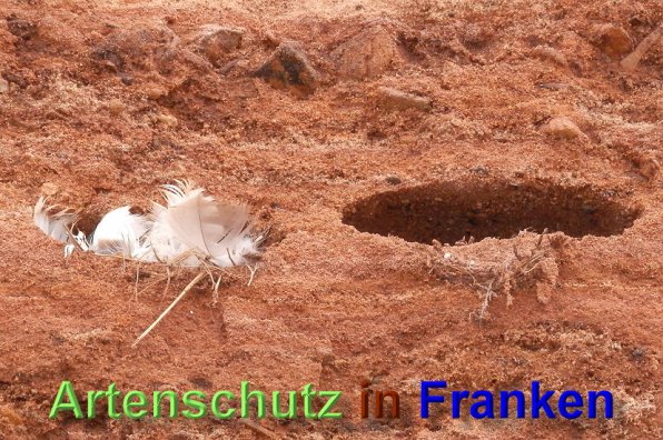 Copyright AiS- Albert Meier Bild zum Eintrag (48948-160)