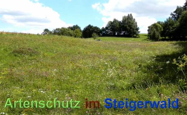 Copyright AiS- Albert Meier Bild zum Eintrag (48990-160)