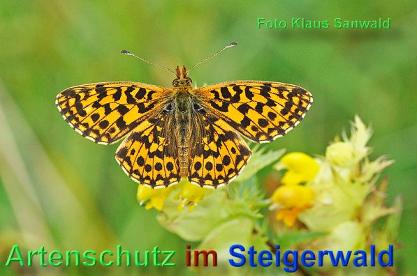 Copyright AiS - Klaus Sanwald Bild zum Eintrag (48995-160)