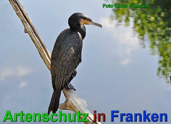 Copyright AiS-Klaus Sanwald Bild zum Eintrag (49750-160)