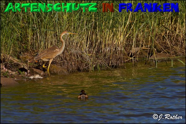 Copyright AiS - Johannes Rother Bild zum Eintrag (50477-160)