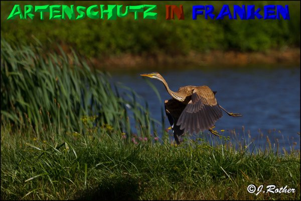 Copyright AiS - Johannes Rother Bild zum Eintrag (50478-160)