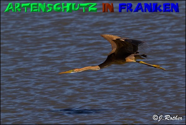 Copyright AiS - Johannes Rother Bild zum Eintrag (50479-160)