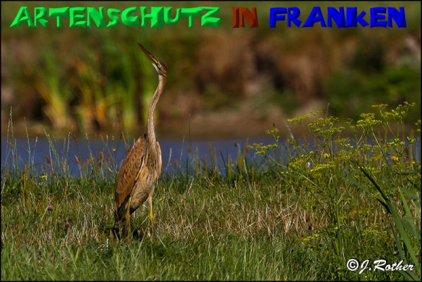 Copyright AiS - Johannes Rother Bild zum Eintrag (50480-160)