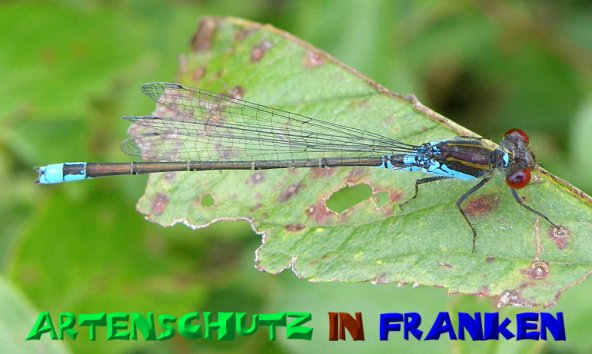 Bild zum Eintrag (50578-160)