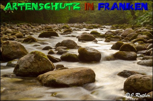 Copyright AiS-Johannes Rother Bild zum Eintrag (50664-160)